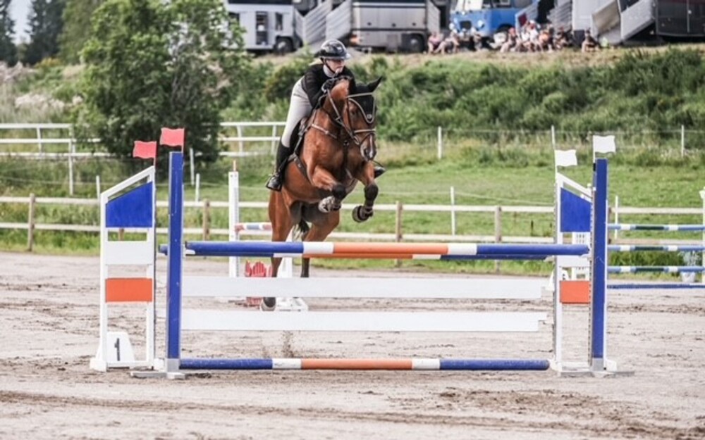 Månadshoppning HT 26